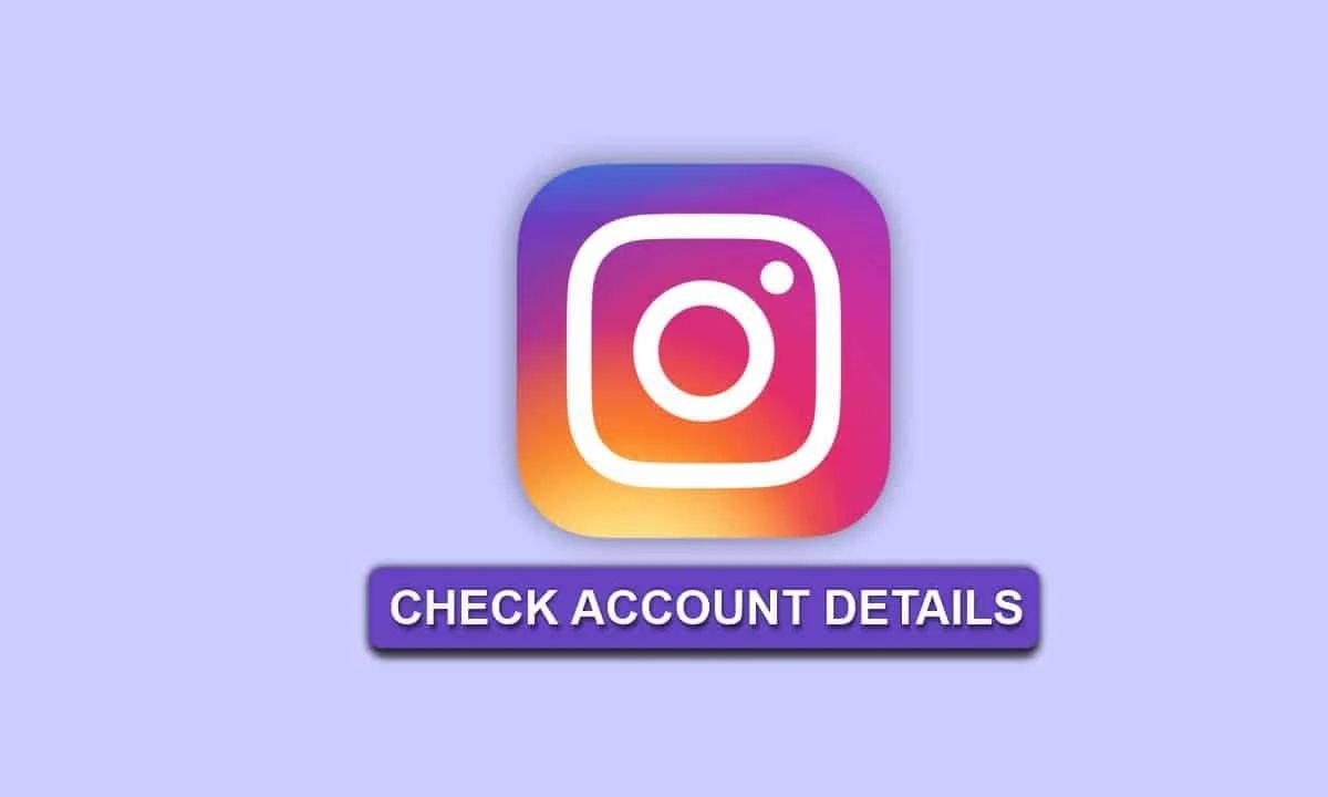 Find Instagram Profile Details